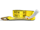 4" Industrial Truck Strap with "D" Delta Ring